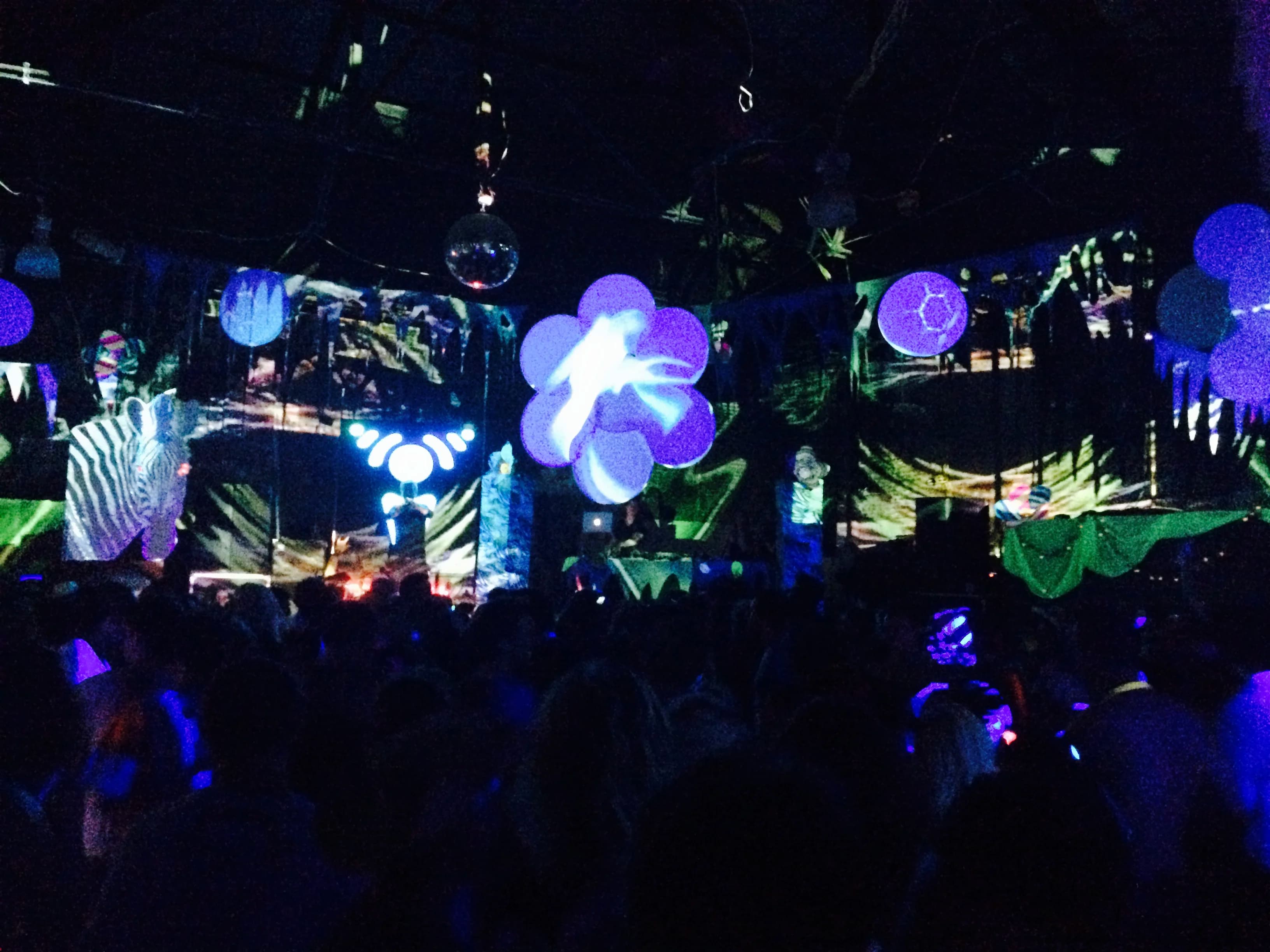 Immersive projections at Electric Pickle